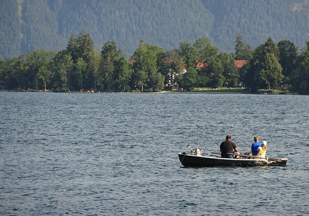 Aktuelles Tegernsee